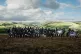 Outfoxed: have the hunt saboteurs wiped out hunting?
